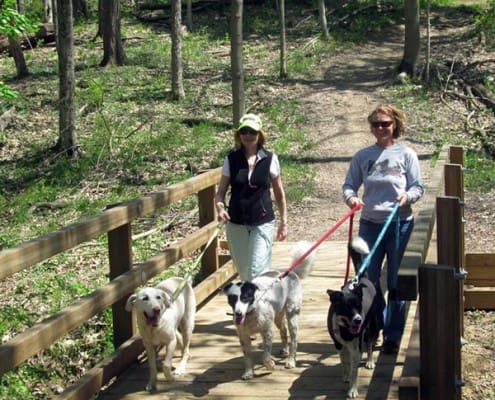 Two women walking their dogs across a bridge at Johnson Hills Park