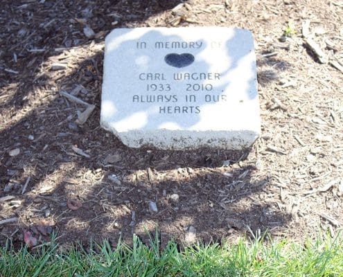 Trees_gallery Last gifts: Adopt-a-Tree with engraved markers at Beech Acres Park