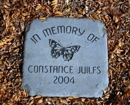 Trees_gallery13 Last gifts: Adopt-a-Tree with engraved markers at Juilfs Park