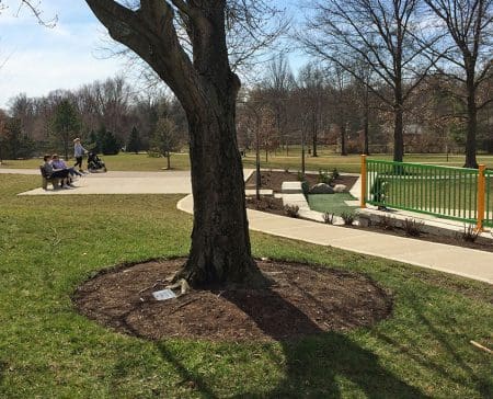 Trees_gallery3 Last gifts: Adopt-a-Tree with engraved markers at Juilfs Park