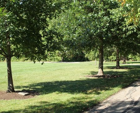 Trees_gallery5 Last gifts: Adopt-a-Tree with engraved markers at Veterans Park