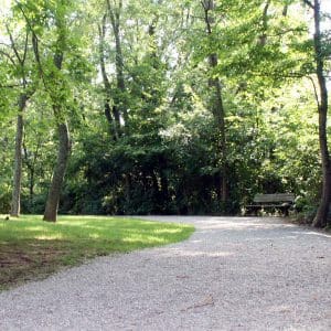VPtrail3 Veterans Park trail