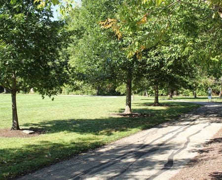 VPtrail7 Veterans Park trail