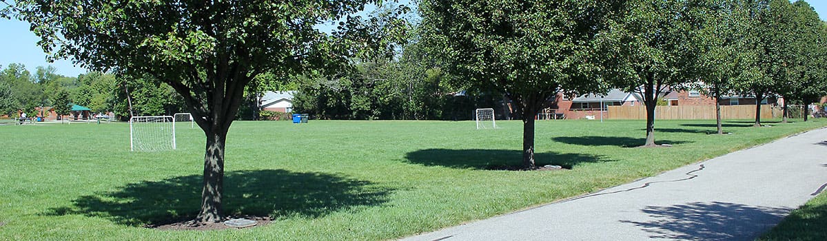 adopt a tree at beech acres park