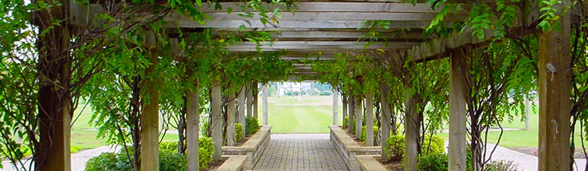Close up of the landscaping of the Clear Creek Park Oasis