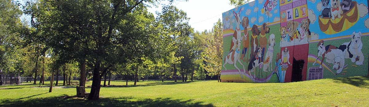 Kellogg Park Dog Field and artworks mural