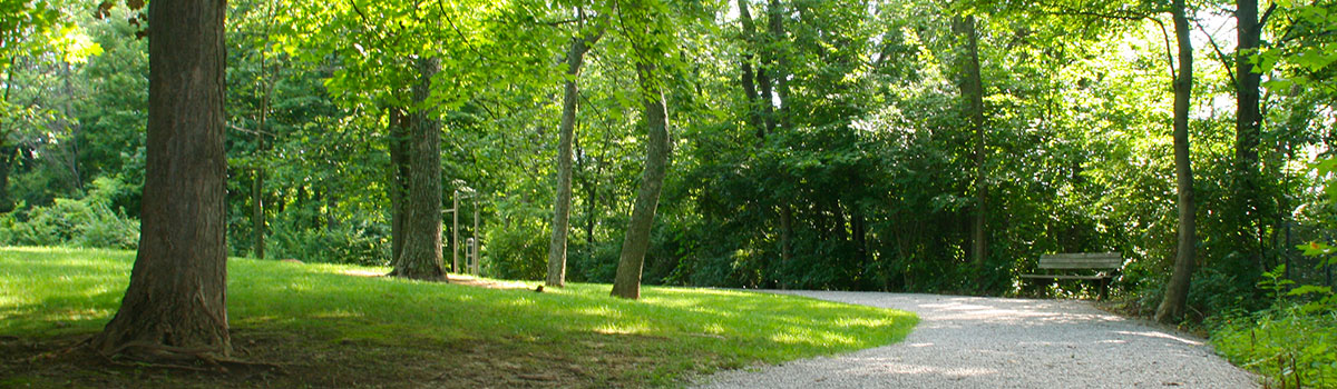 veterans park trail and bench