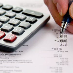 person with pen and calculator reviewing the park budget
